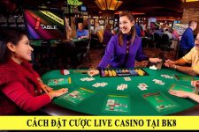 Hướng dẫn đặt cược Live Casino tại Nhà Cái BK8